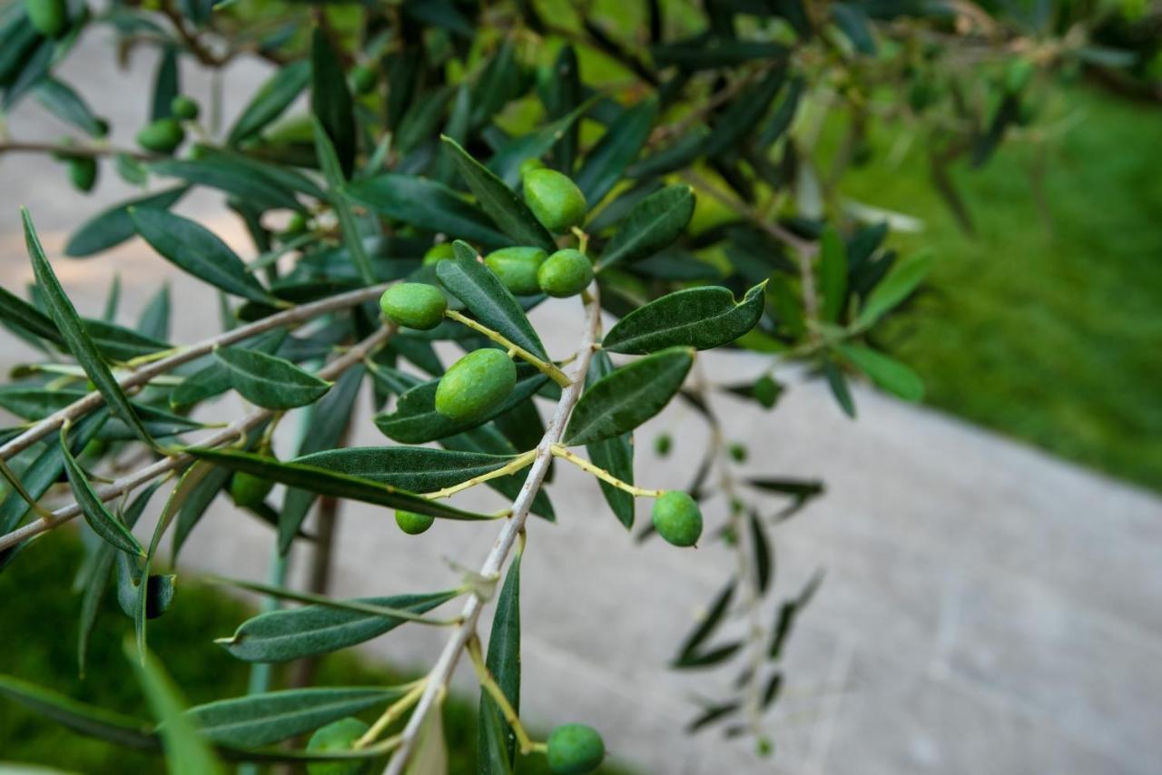 شقة Olive 302 Peraía المظهر الخارجي الصورة